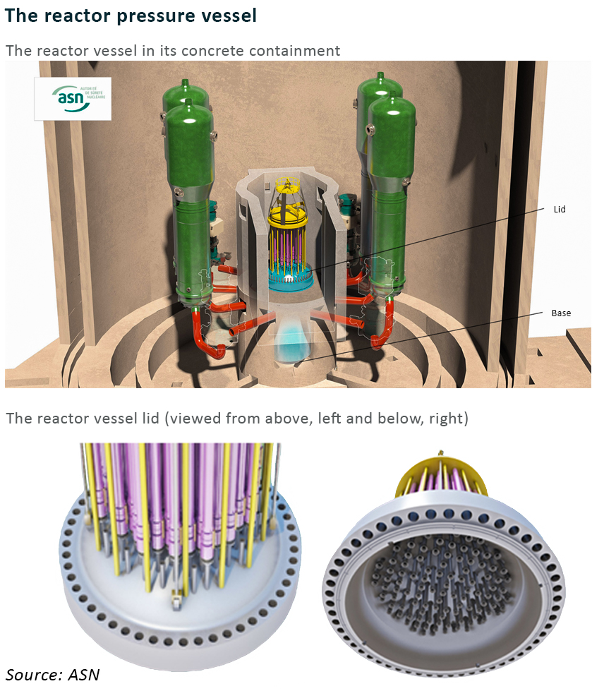 rector components