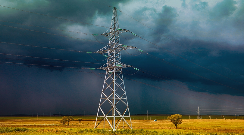 capacity market suspension