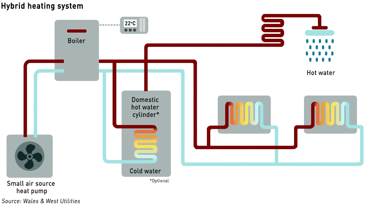low carbon gas networks
