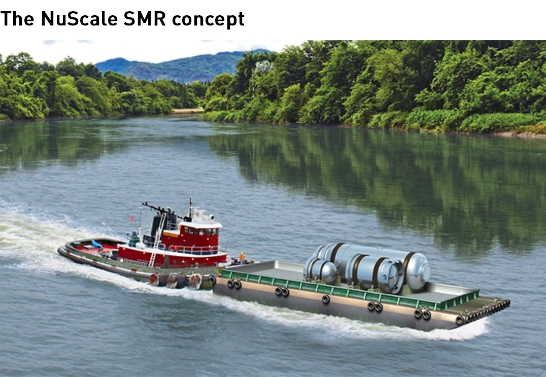 NuScale rector concept