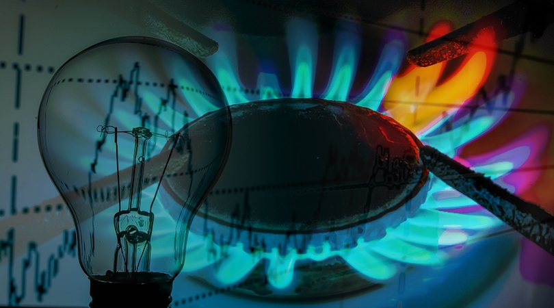 price cap subsidy