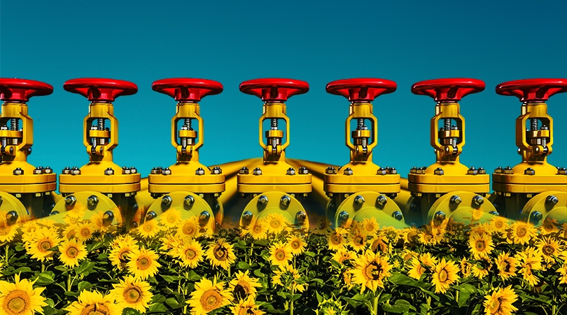 Ukraine war - Energy policy