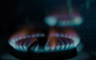 British Gas profits, Kathryn Porter, Watt-Logic
