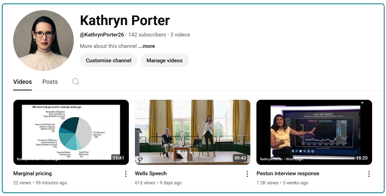 Kathryn Porter, Watt-Logic YouTube channel